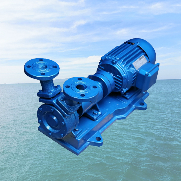 W Marine Single Stage Vortex Pump1.jpg